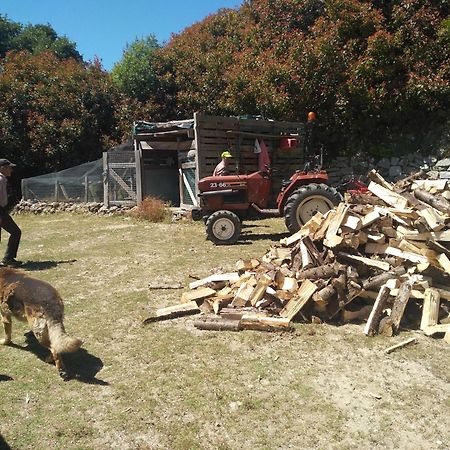 Chale Pouso Da Serra - Casas De Montanha Costilhao Екстериор снимка